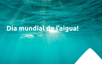 Avui és el dia mundial de l’aigua!