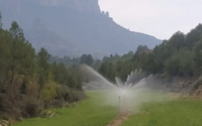 Parc Natural de Montserrat