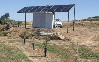 Reg per degoteig amb bombeig solar a Lleida