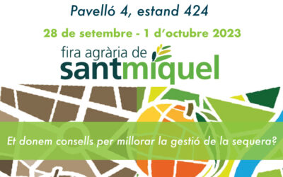 Estarem a la fira de Sant Miquel!