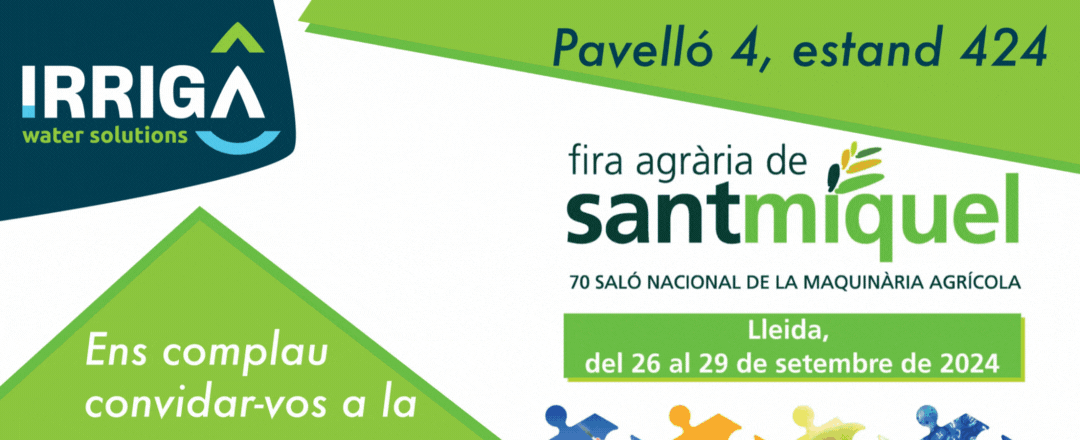 fira sant miquel