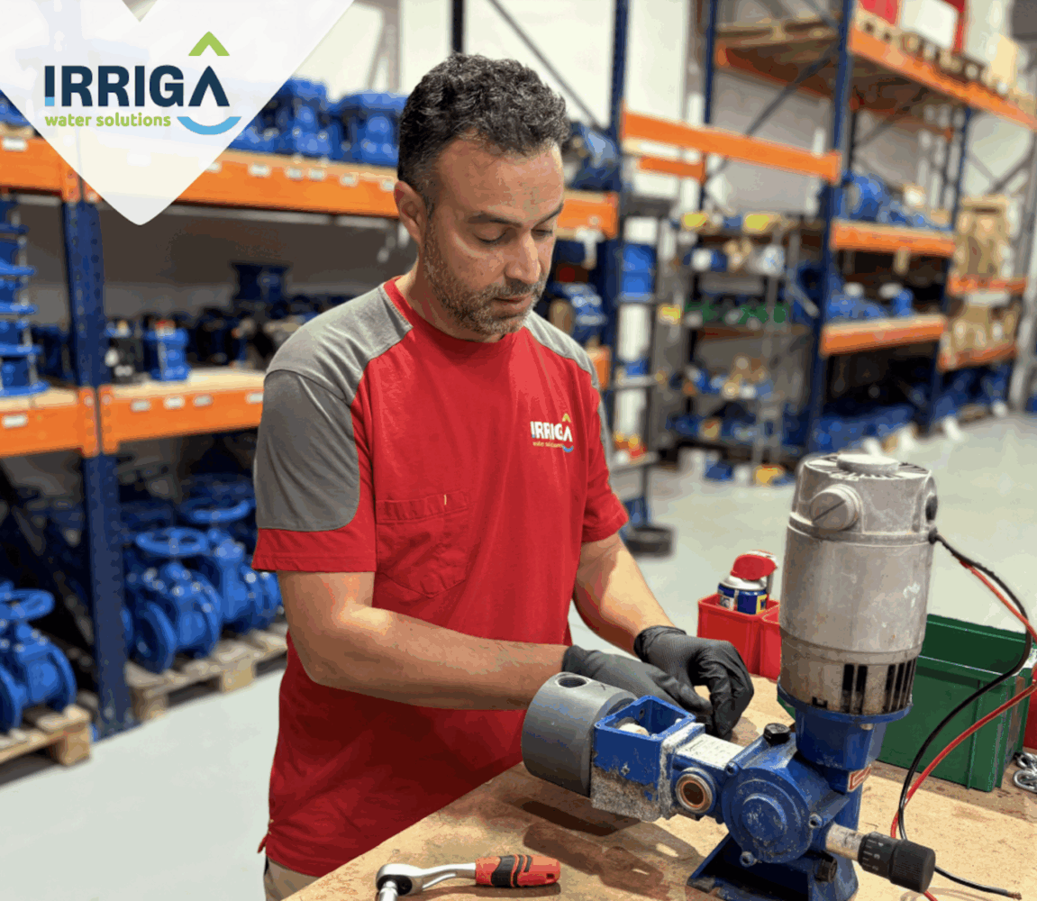 Screenshot 2026-02-13 at 10.32.40 REPARACIÓ DE BOMBES INJECTORES